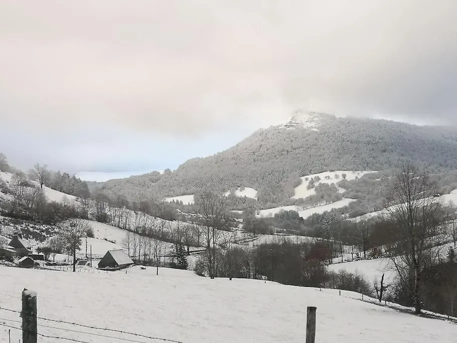 Holiday home Charmant Gite De Montagne Avec Cheminee Saint-Paul-de-Salers